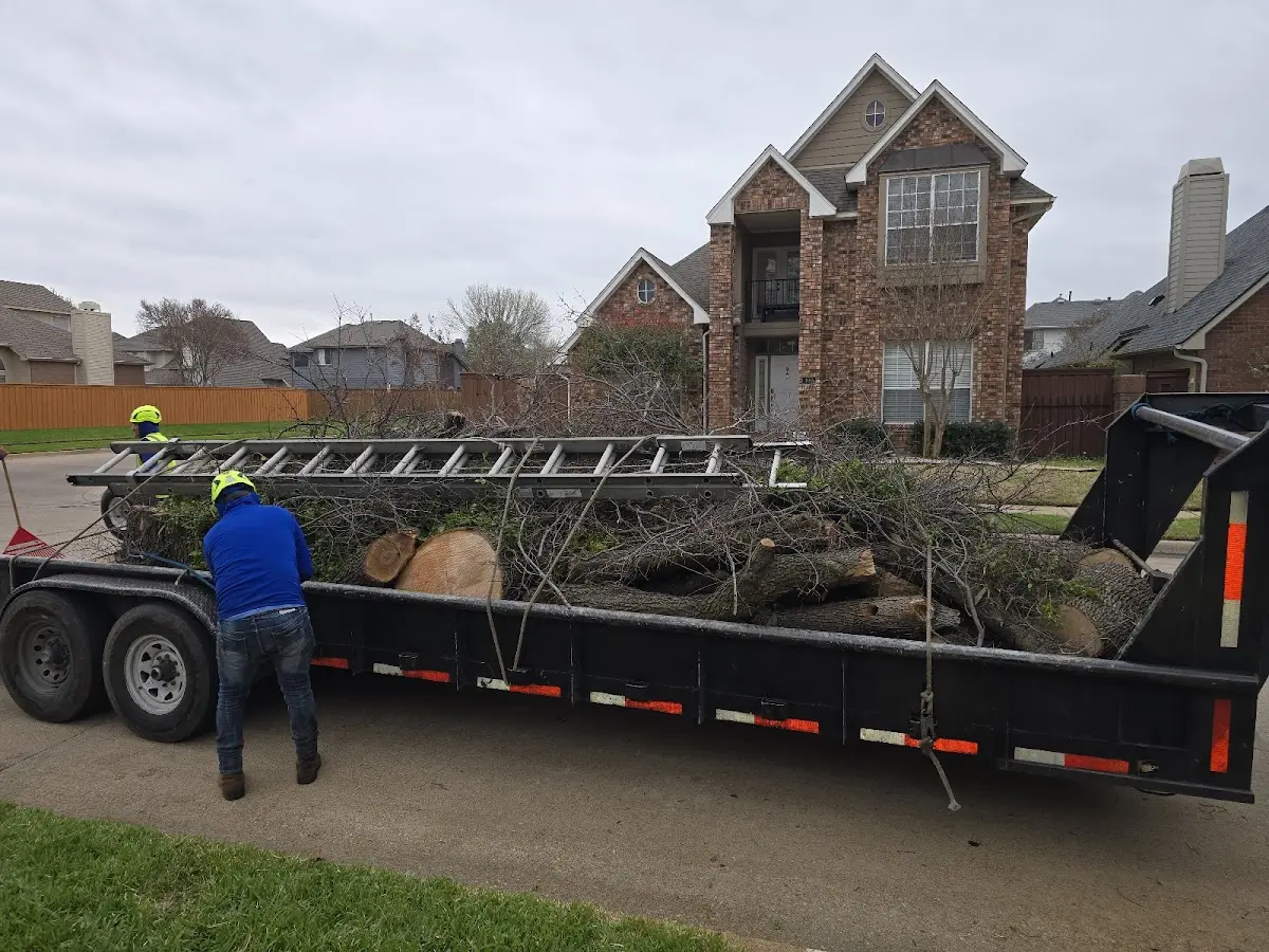 Expert Tree Fertilization with proper safety equipment in Commack
